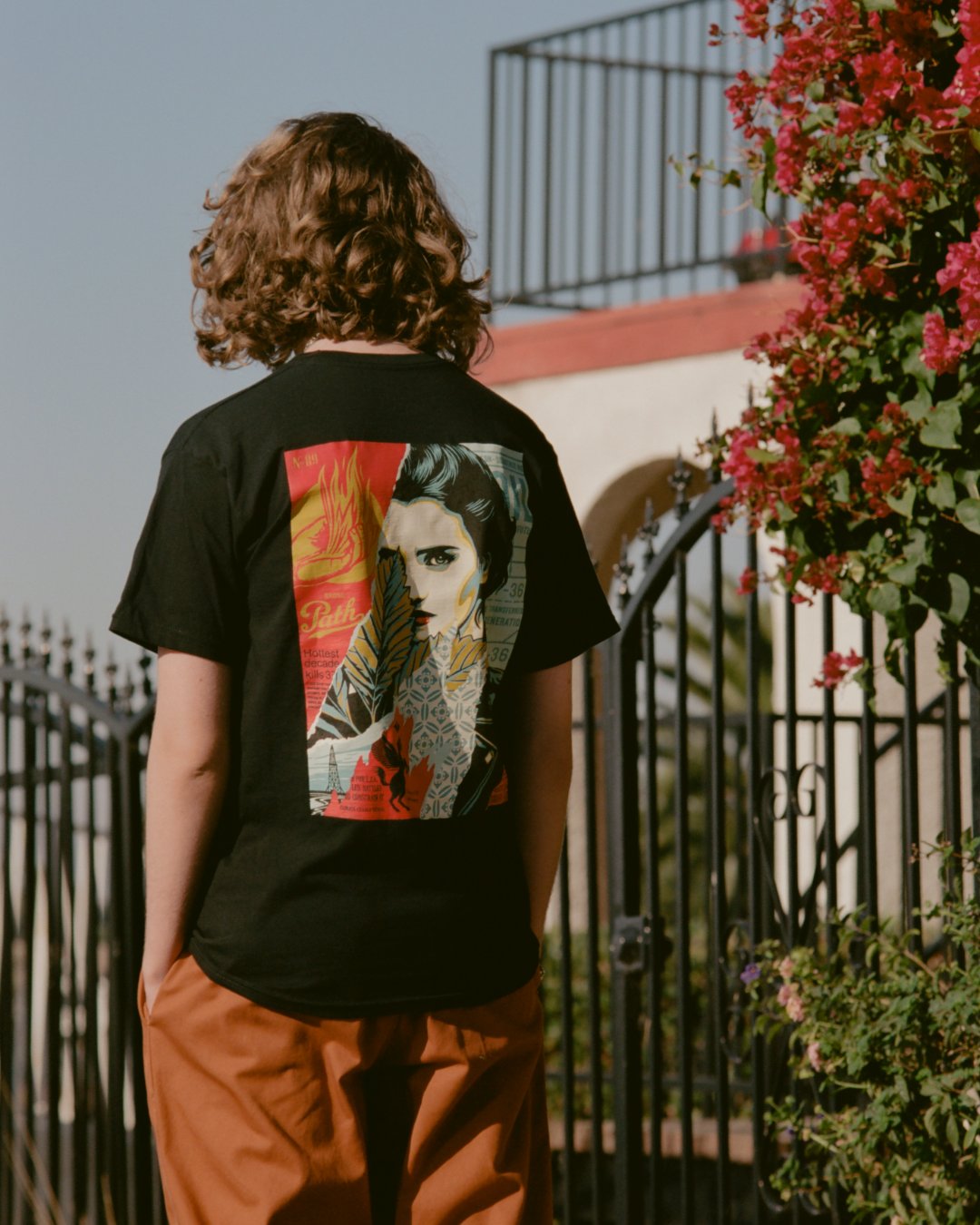 Shepard fairey collection