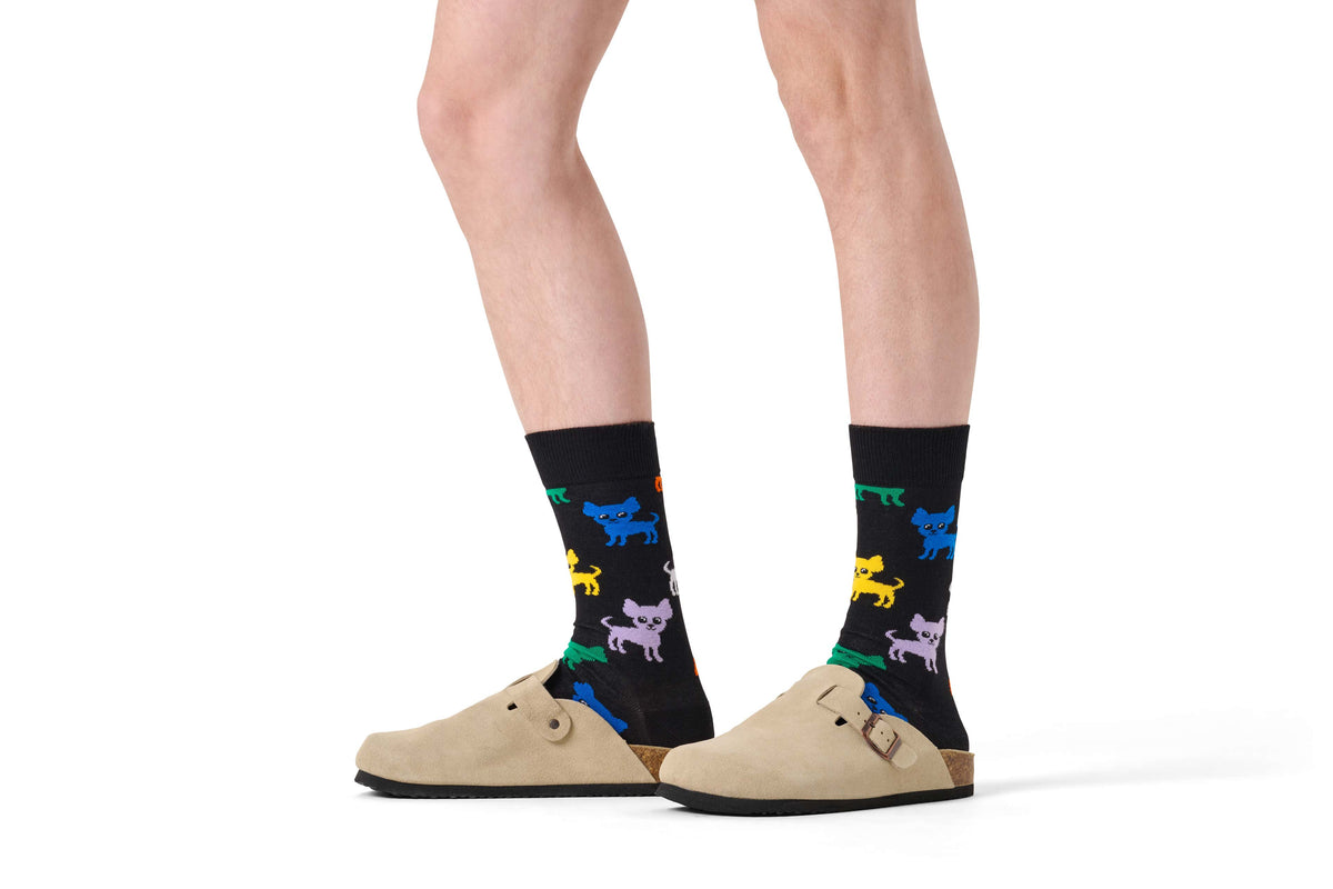 happy socks calze Chihuahua Sock