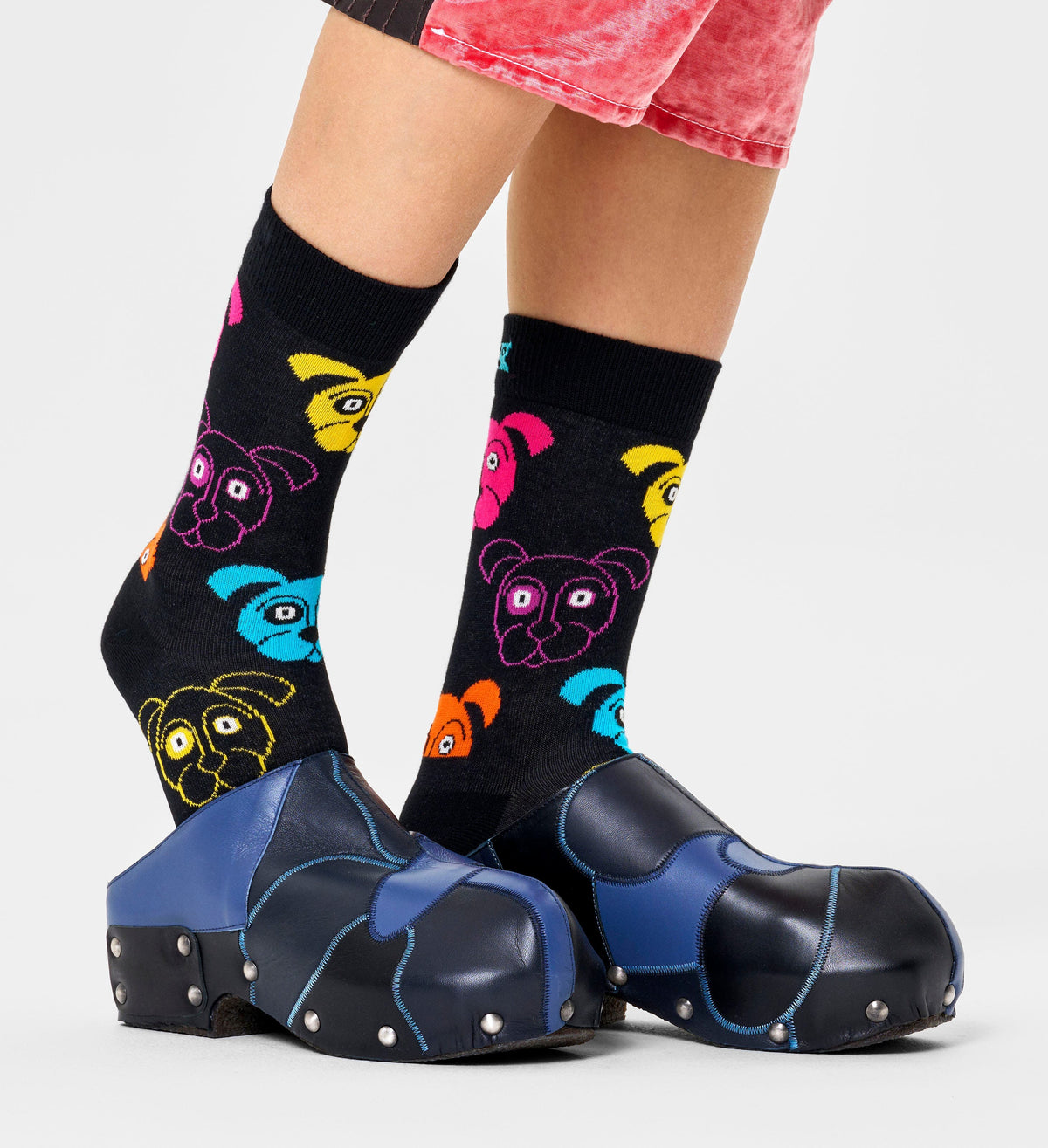 happy socks calze DOG SOCK