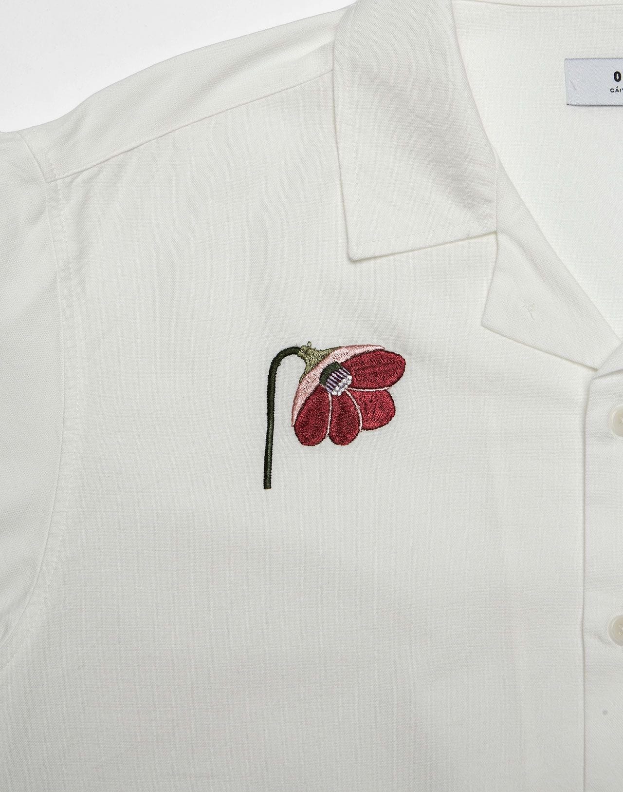 olow camicie ALOHA HERBIER