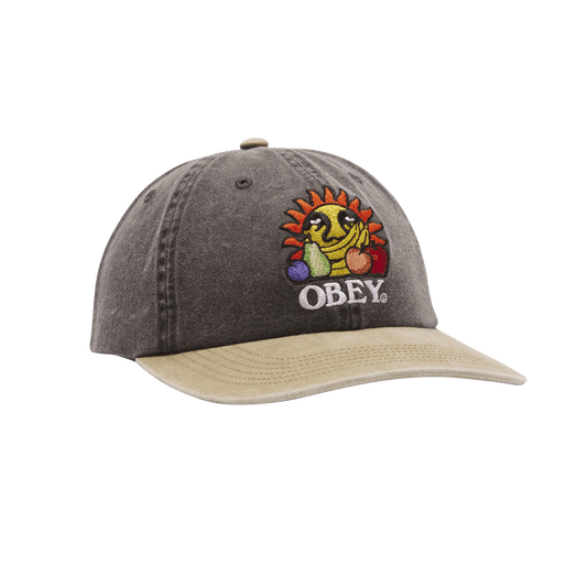 obey Pigment Fruits 6 Panel Snapback foto 1
