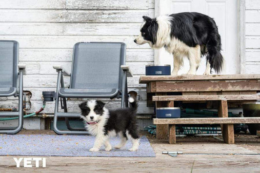 yeti Boomer 4 Dog Bowl Navy foto 6