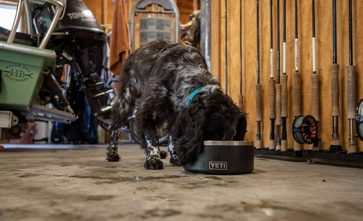 yeti ciotole per cani BOOMER 8 DOG BOWL BLACK - BLACK