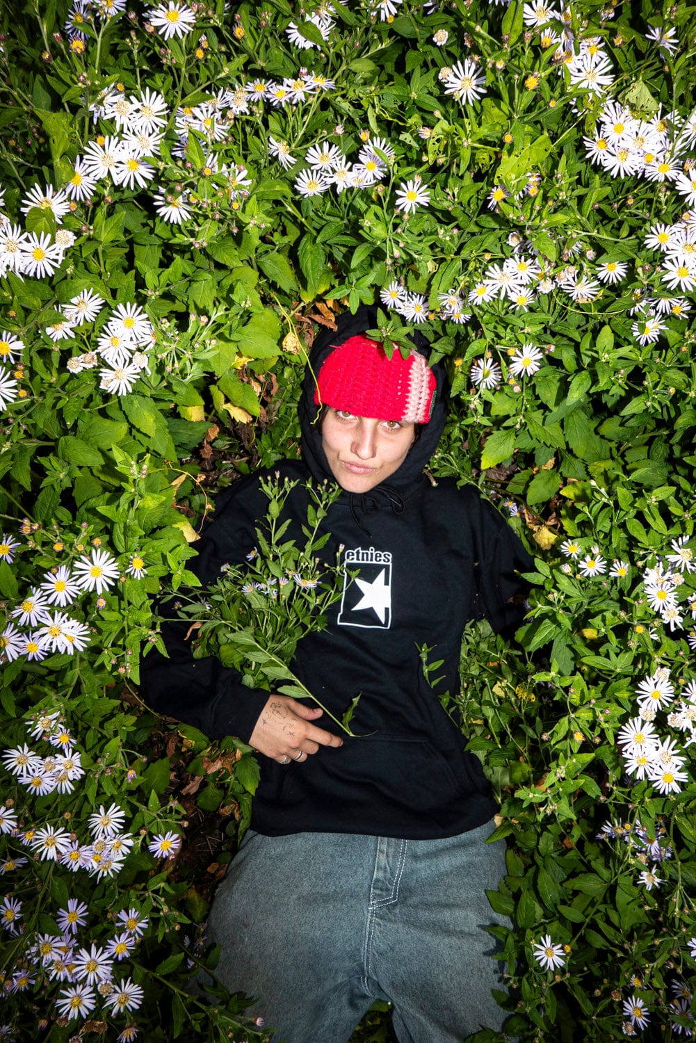 etnies felpe Etnies Star Hoodie