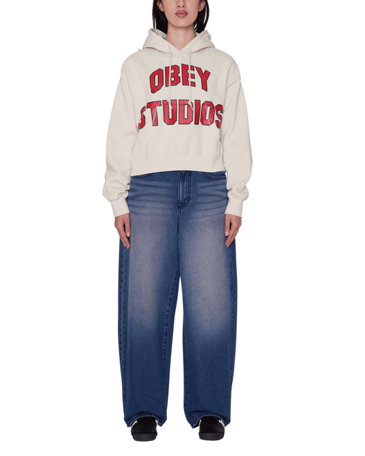 obey Obey Studios Collegiate Hood Fleece foto 4