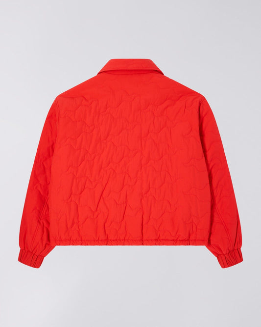 edwin W Rory Padded Jacket foto 6