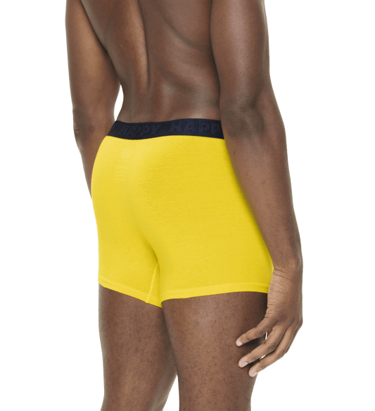 happy socks 1 Pack Pickle Short Boxer foto 4