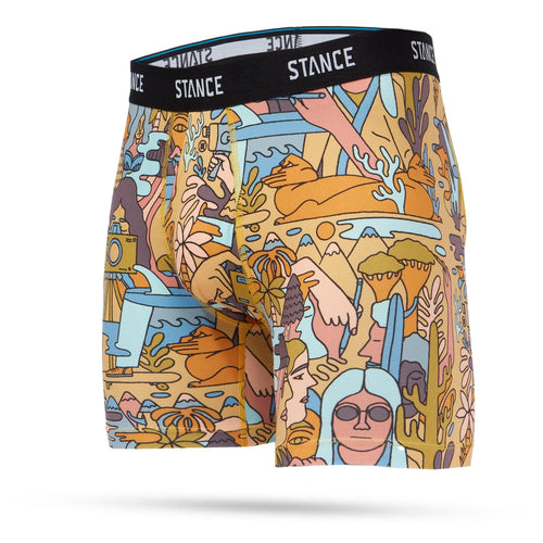 intimo stance CALICATION BOXER BRIEF