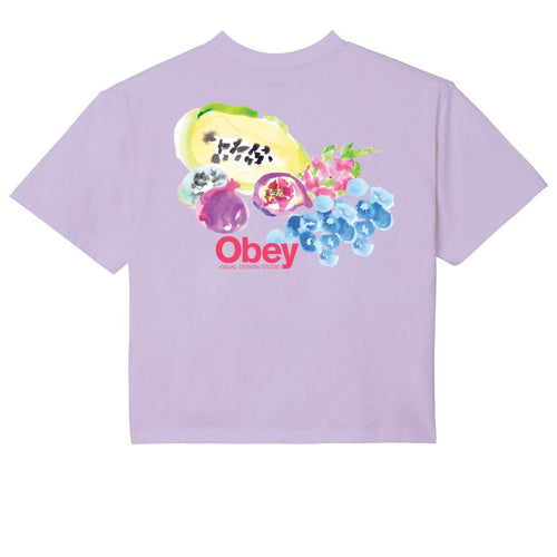 t-shirt obey OBEY SOFT FRUIT RAEGAN CROP TEE