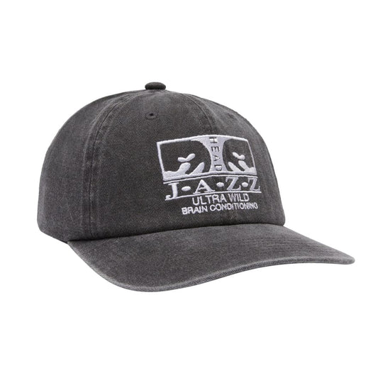 obey Pigment Jazz 6 Panel Strapback foto 1