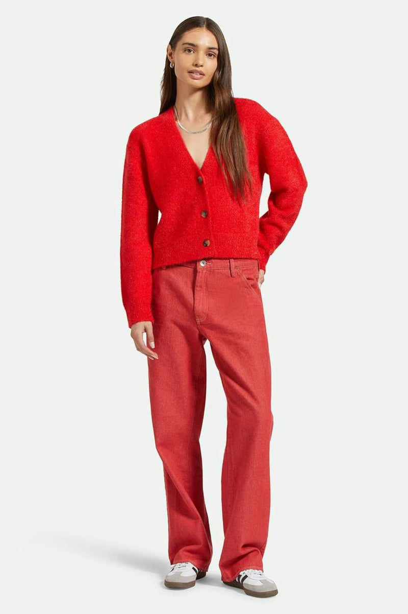 brixton pantaloni Essex Painter Pant