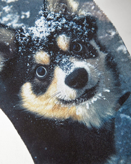 es Tj Rogers foto 18