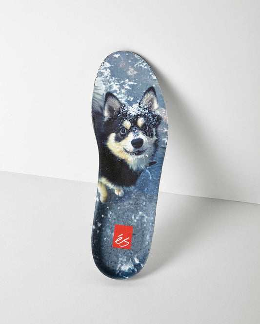 es Tj Rogers foto 16