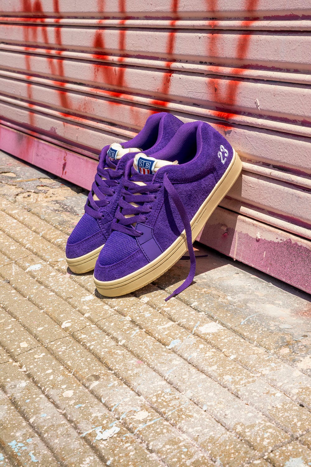 etnies scarpe Sal23
