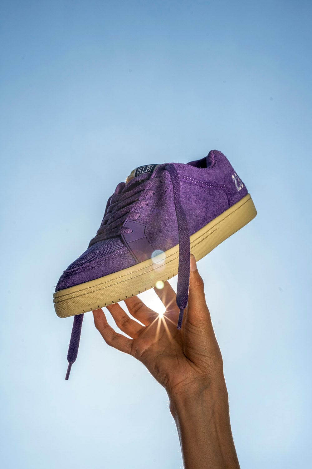 etnies scarpe Sal23