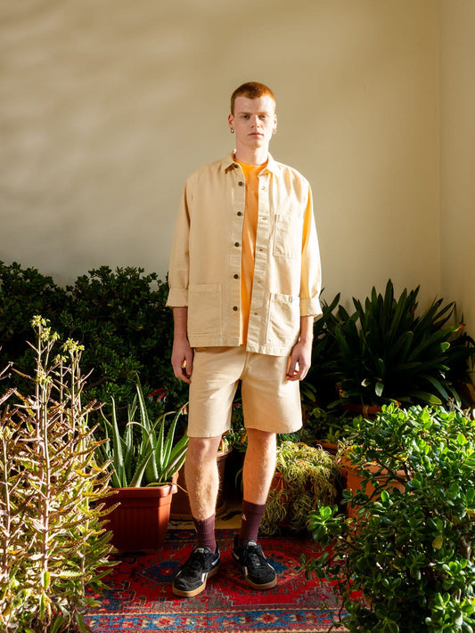 cat wwr Light Canvas Painter Short foto 5