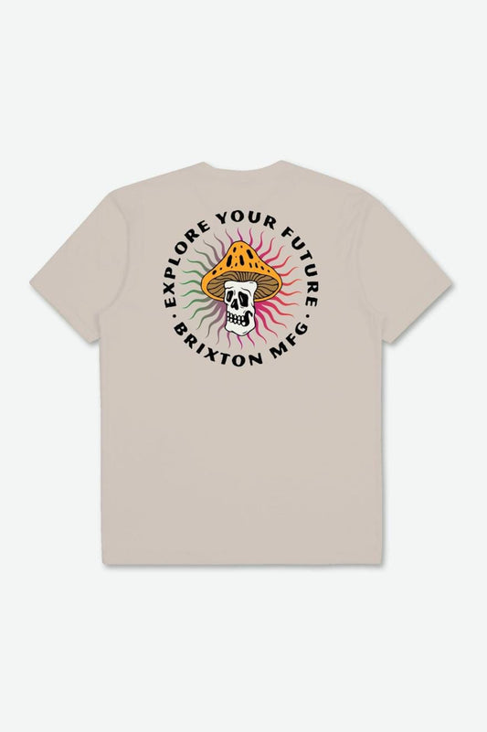 brixton FUTURE S S RELAXED TEE foto 2