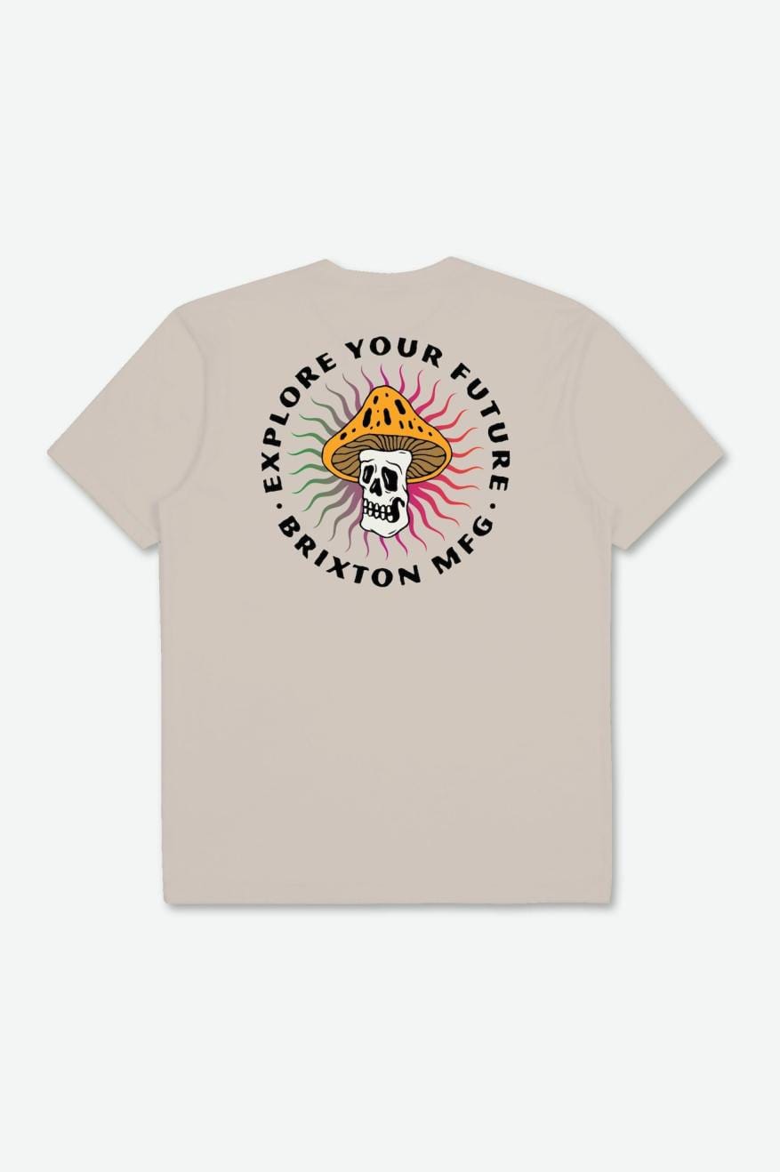 brixton t-shirt FUTURE S S RELAXED TEE