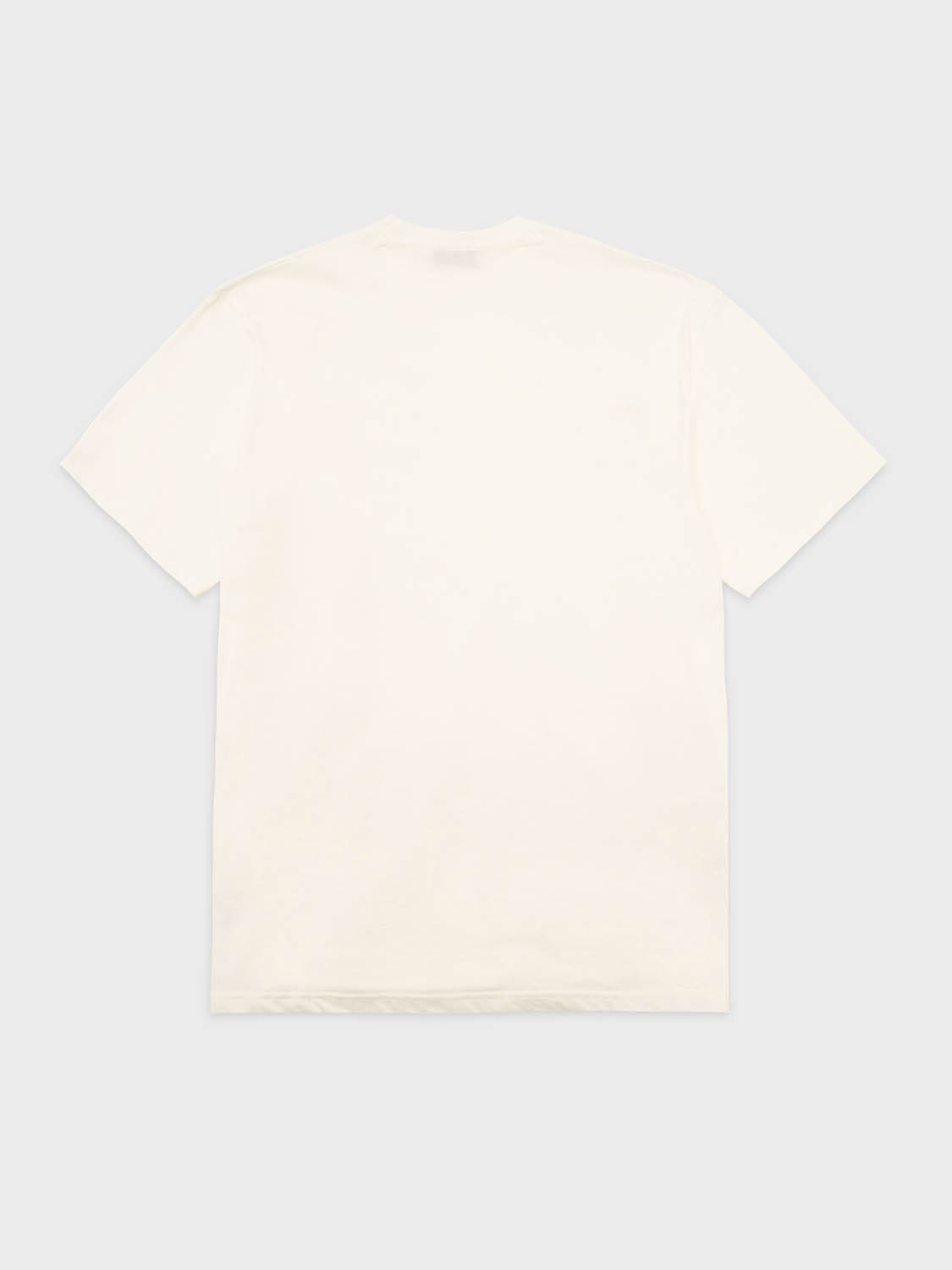 cat wwr t-shirt Authentic T Shirt