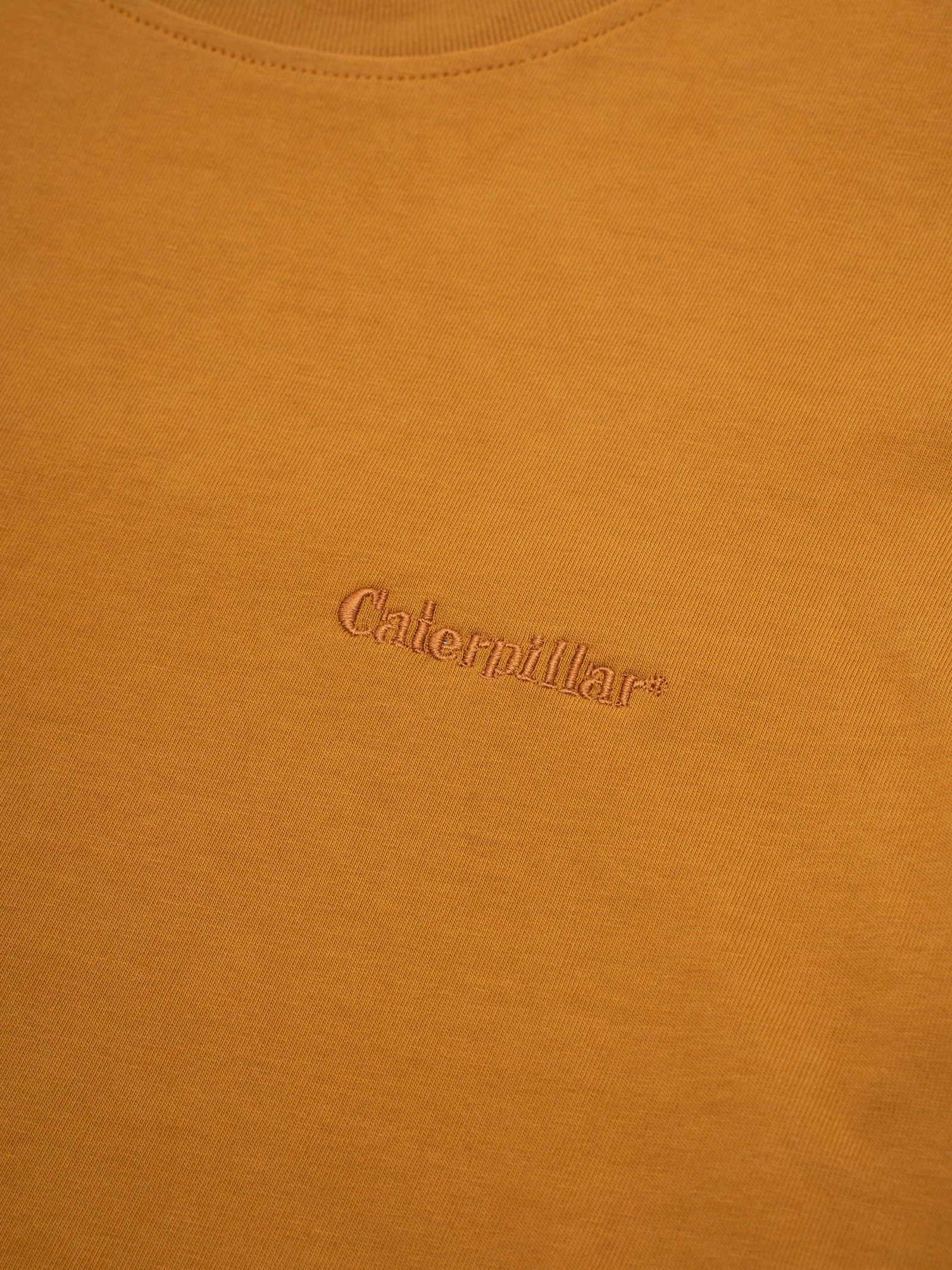 cat wwr t-shirt Tricolor T Shirt