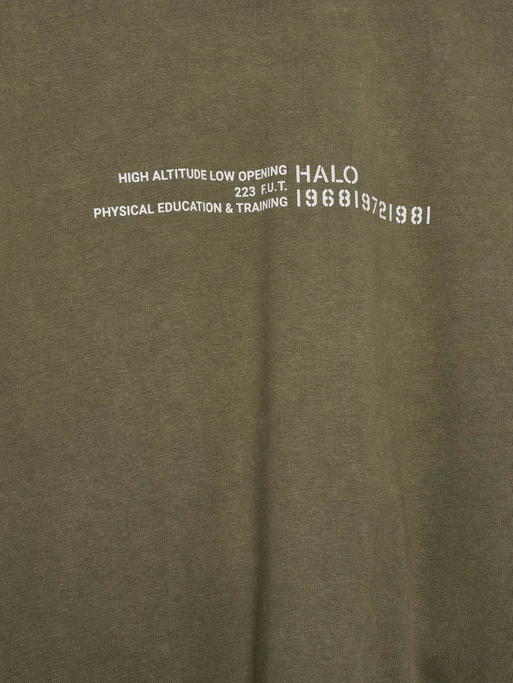 halo t-shirt Halo Graphic Boxy T Shirt