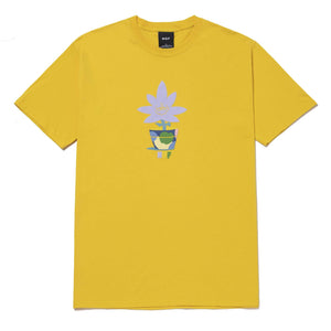 POTTED S/S TEE - YELLOW