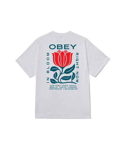 t-shirt obey OBEY IN BLOOM TEE