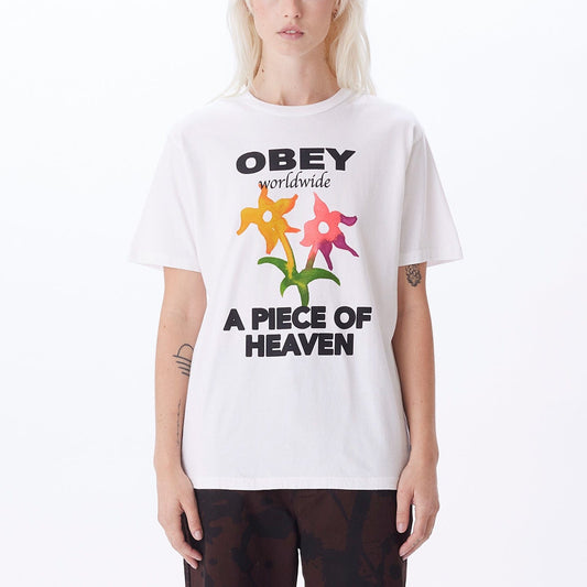 obey OBEY PIECE OF HEAVEN PIGMENT CHOICE BOX TEE foto 1