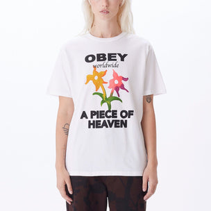 OBEY PIECE OF HEAVEN PIGMENT CHOICE BOX TEE