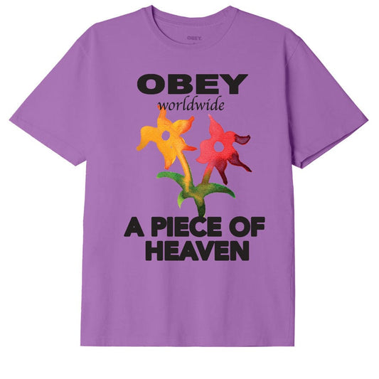 obey OBEY PIECE OF HEAVEN PIGMENT CHOICE BOX TEE foto 1