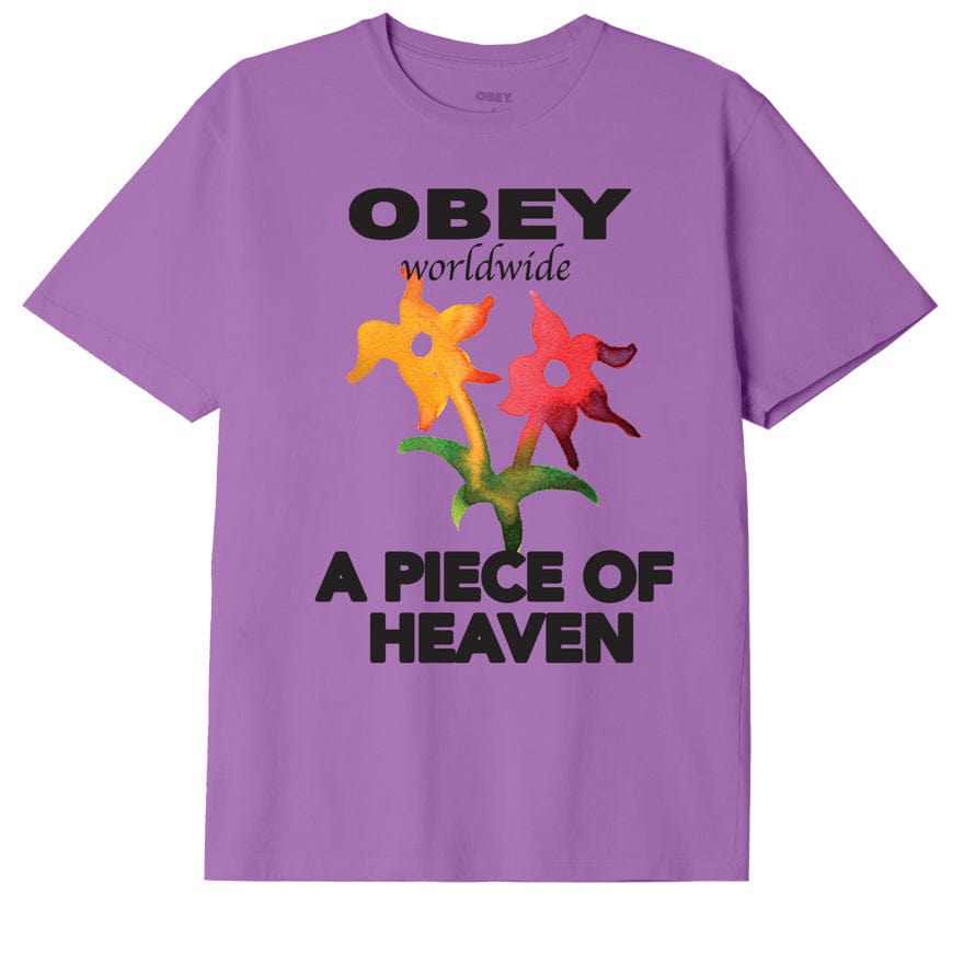 obey t-shirt OBEY PIECE OF HEAVEN PIGMENT CHOICE BOX TEE