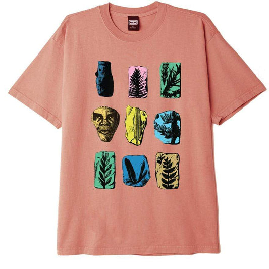 obey Paleolithic Heavyweight Tee Pheasant foto 1